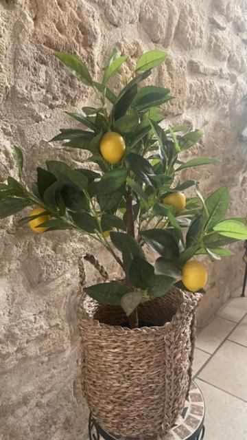 Le Grand Rouget Leilighet Beaucaire  Eksteriør bilde