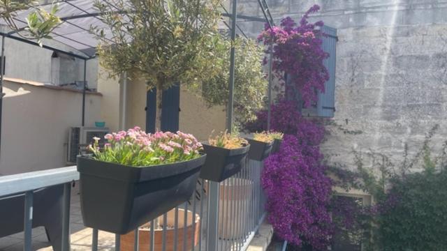 Le Grand Rouget Leilighet Beaucaire  Eksteriør bilde