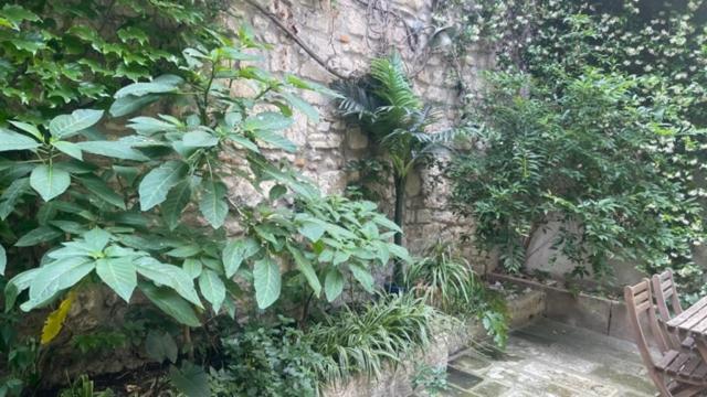 Le Grand Rouget Leilighet Beaucaire  Eksteriør bilde